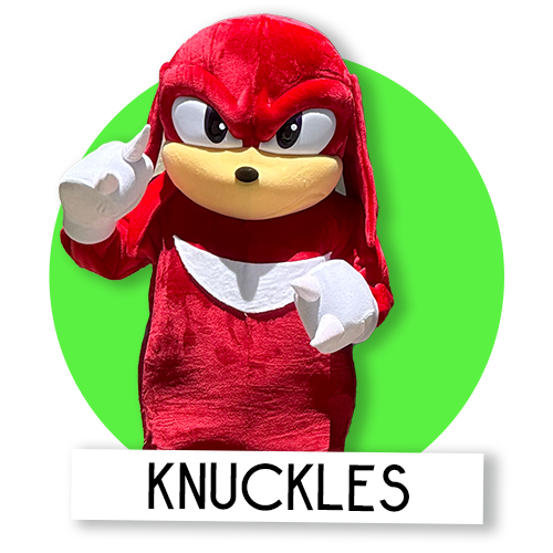 knuckles-my-party-zebra